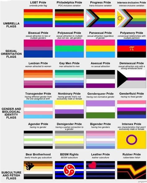 androsexual flag|23 LGBTQ+ Pride Flags and What They Represent